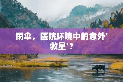 雨伞，医院环境中的意外‘救星’？