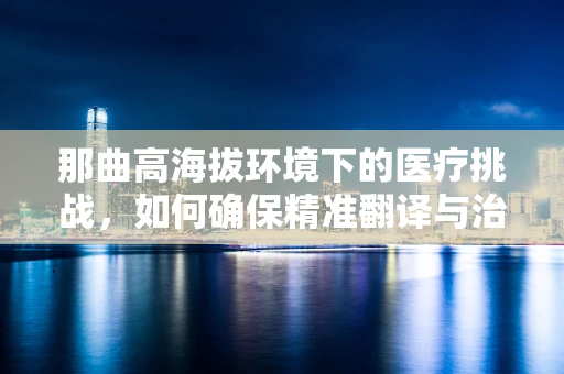 那曲高海拔环境下的医疗挑战，如何确保精准翻译与治疗？