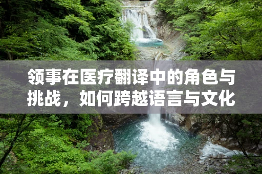 领事在医疗翻译中的角色与挑战，如何跨越语言与文化的鸿沟？