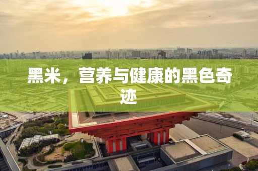 黑米，营养与健康的黑色奇迹