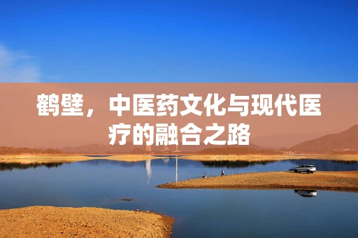 鹤壁，中医药文化与现代医疗的融合之路
