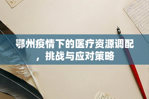 鄂州疫情下的医疗资源调配，挑战与应对策略