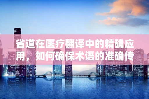 省道在医疗翻译中的精确应用，如何确保术语的准确传达？