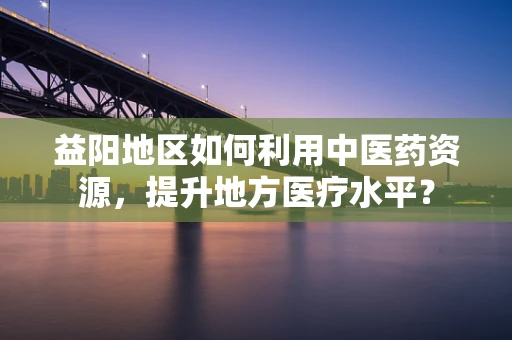 益阳地区如何利用中医药资源，提升地方医疗水平？