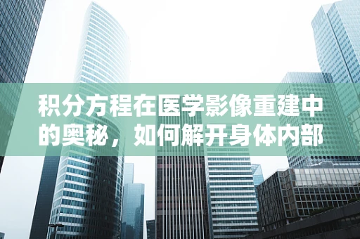 积分方程在医学影像重建中的奥秘，如何解开身体内部的‘数学谜题’？