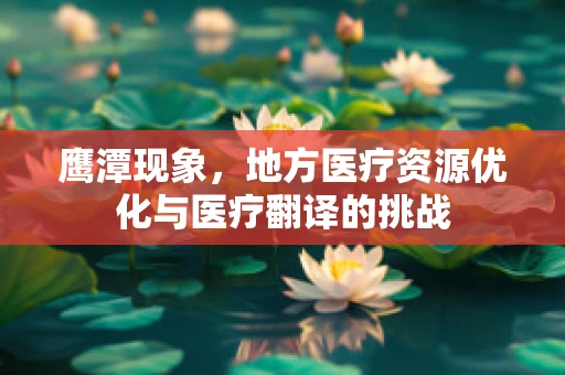 鹰潭现象，地方医疗资源优化与医疗翻译的挑战