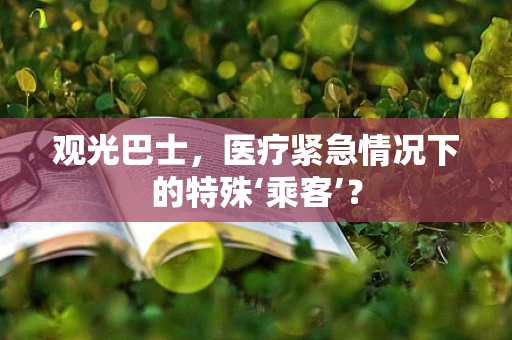 观光巴士，医疗紧急情况下的特殊‘乘客’？