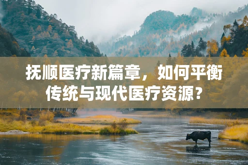 抚顺医疗新篇章，如何平衡传统与现代医疗资源？