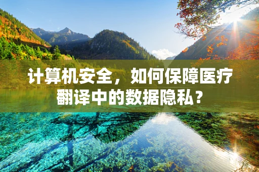 计算机安全，如何保障医疗翻译中的数据隐私？