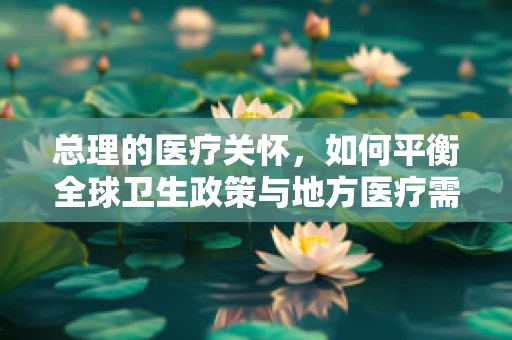 总理的医疗关怀，如何平衡全球卫生政策与地方医疗需求？