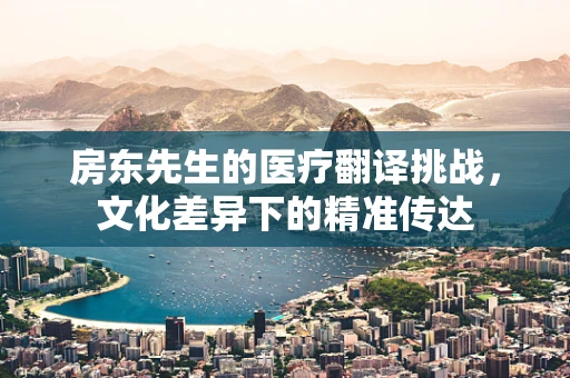 房东先生的医疗翻译挑战，文化差异下的精准传达