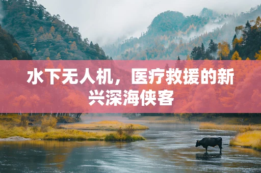 水下无人机，医疗救援的新兴深海侠客