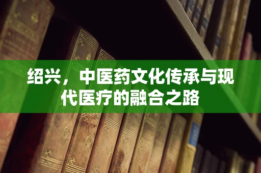 绍兴，中医药文化传承与现代医疗的融合之路