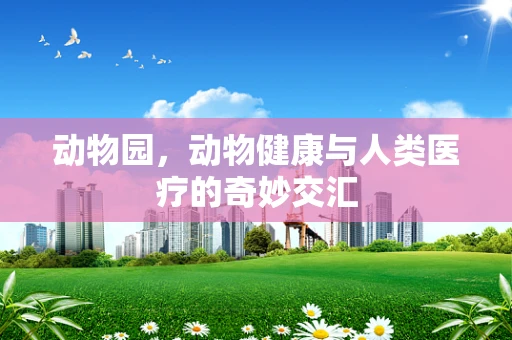 动物园，动物健康与人类医疗的奇妙交汇