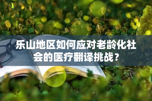 乐山地区如何应对老龄化社会的医疗翻译挑战？