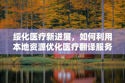 绥化医疗新进展，如何利用本地资源优化医疗翻译服务？