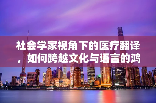 社会学家视角下的医疗翻译，如何跨越文化与语言的鸿沟？