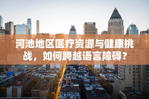 河池地区医疗资源与健康挑战，如何跨越语言障碍？
