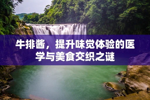 牛排酱，提升味觉体验的医学与美食交织之谜
