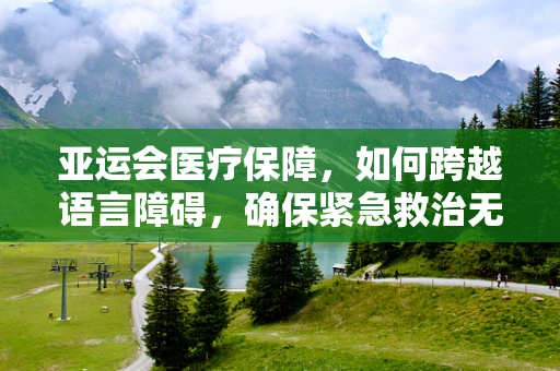 亚运会医疗保障，如何跨越语言障碍，确保紧急救治无碍？