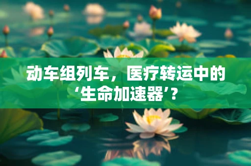 动车组列车，医疗转运中的‘生命加速器’？