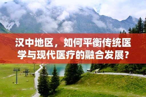 汉中地区，如何平衡传统医学与现代医疗的融合发展？