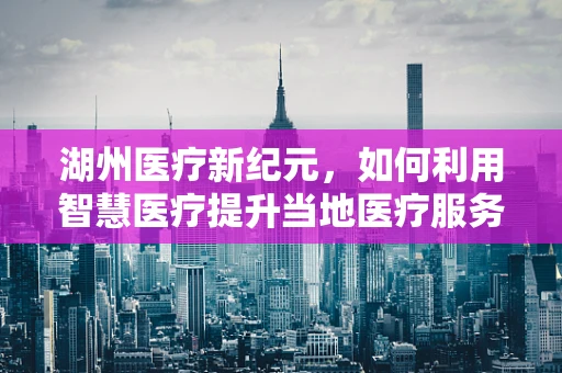 湖州医疗新纪元，如何利用智慧医疗提升当地医疗服务质量？