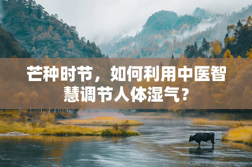 芒种时节，如何利用中医智慧调节人体湿气？