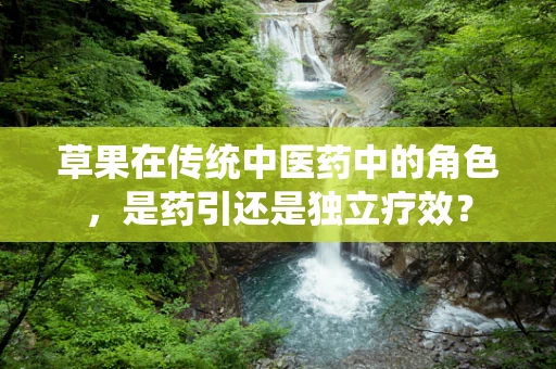 草果在传统中医药中的角色，是药引还是独立疗效？