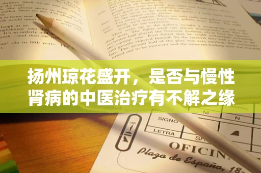 扬州琼花盛开，是否与慢性肾病的中医治疗有不解之缘？