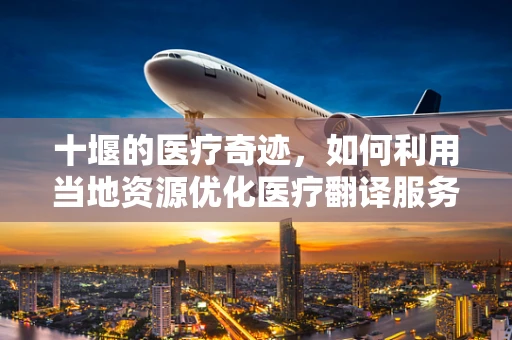 十堰的医疗奇迹，如何利用当地资源优化医疗翻译服务？