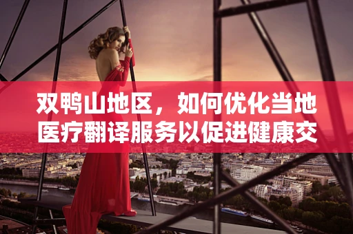 双鸭山地区，如何优化当地医疗翻译服务以促进健康交流？