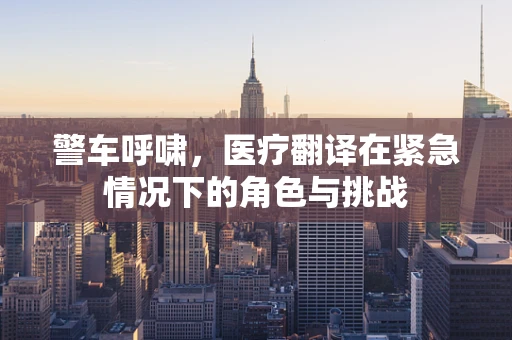 警车呼啸，医疗翻译在紧急情况下的角色与挑战
