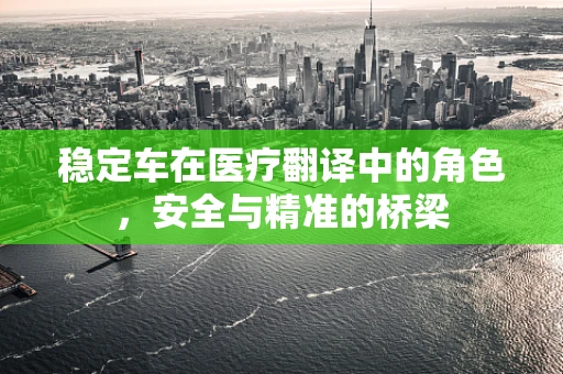 稳定车在医疗翻译中的角色，安全与精准的桥梁