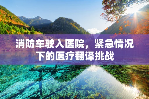 消防车驶入医院，紧急情况下的医疗翻译挑战
