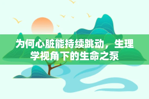 为何心脏能持续跳动，生理学视角下的生命之泵