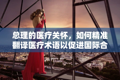 总理的医疗关怀，如何精准翻译医疗术语以促进国际合作？