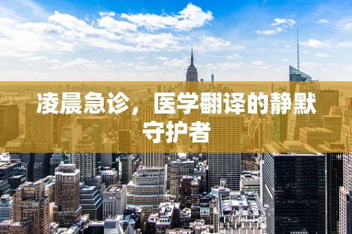 凌晨急诊，医学翻译的静默守护者
