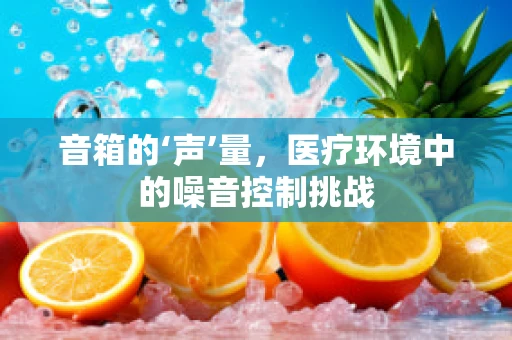 音箱的‘声’量，医疗环境中的噪音控制挑战
