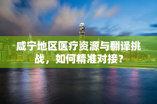 咸宁地区医疗资源与翻译挑战，如何精准对接？