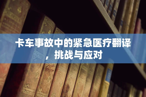 卡车事故中的紧急医疗翻译，挑战与应对