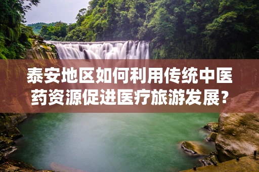 泰安地区如何利用传统中医药资源促进医疗旅游发展？