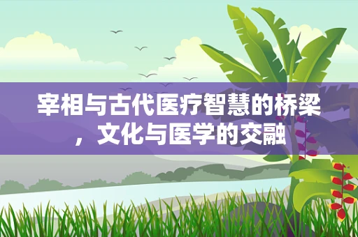 宰相与古代医疗智慧的桥梁，文化与医学的交融
