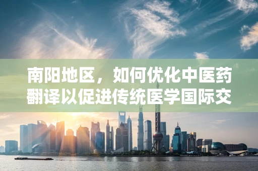 南阳地区，如何优化中医药翻译以促进传统医学国际交流？