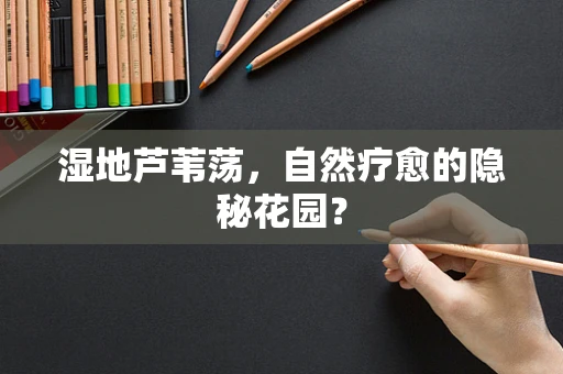 湿地芦苇荡，自然疗愈的隐秘花园？