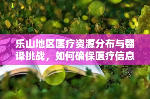 乐山地区医疗资源分布与翻译挑战，如何确保医疗信息精准传递？