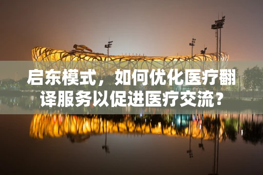 启东模式，如何优化医疗翻译服务以促进医疗交流？