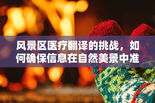 风景区医疗翻译的挑战，如何确保信息在自然美景中准确无误？