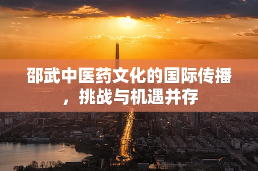 邵武中医药文化的国际传播，挑战与机遇并存