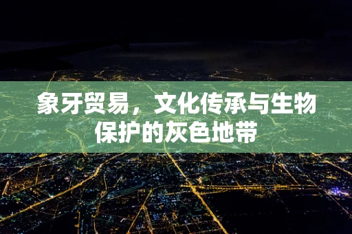 象牙贸易，文化传承与生物保护的灰色地带